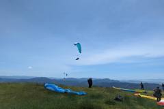 PXL_20240303_150132706