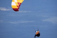 189351505_532504157767265_1200885581977717139_n