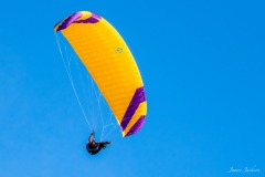 Stephen with his PHO Sonata