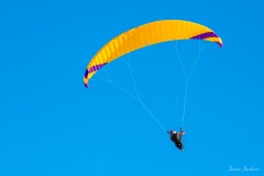 Frank with his PHO Sonata